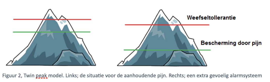 Fysio-actief nieuws